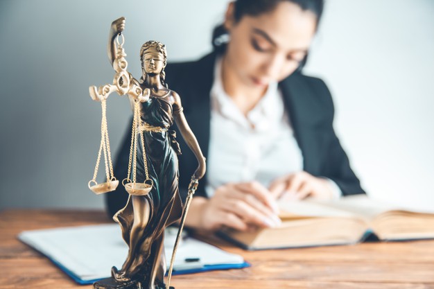 lawyer-studying-law_218381-1591
